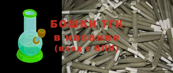 гидра Снежногорск