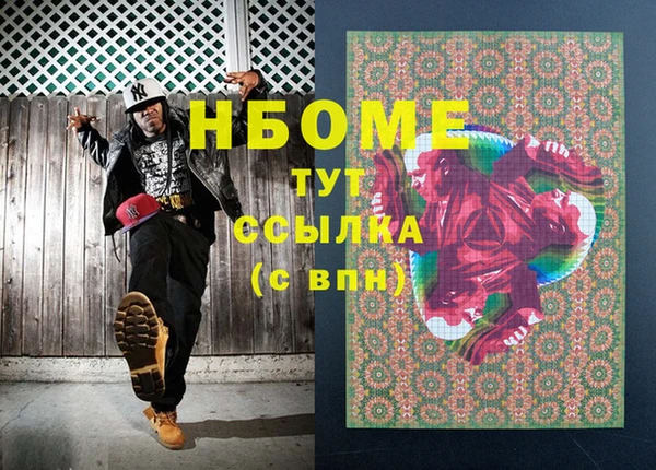 гидра Снежногорск